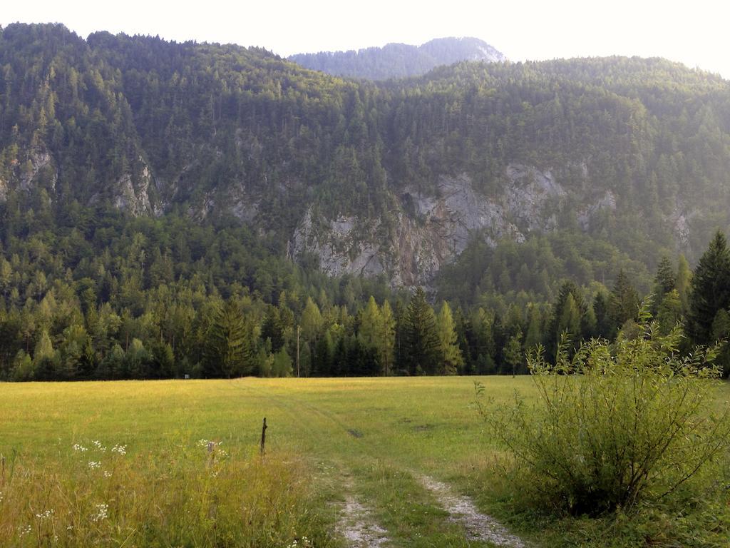 Brina Kranjska Gora