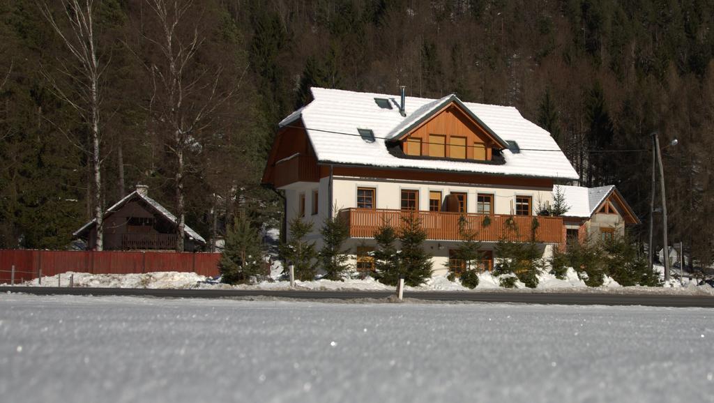Apartment Brina Kranjska Gora